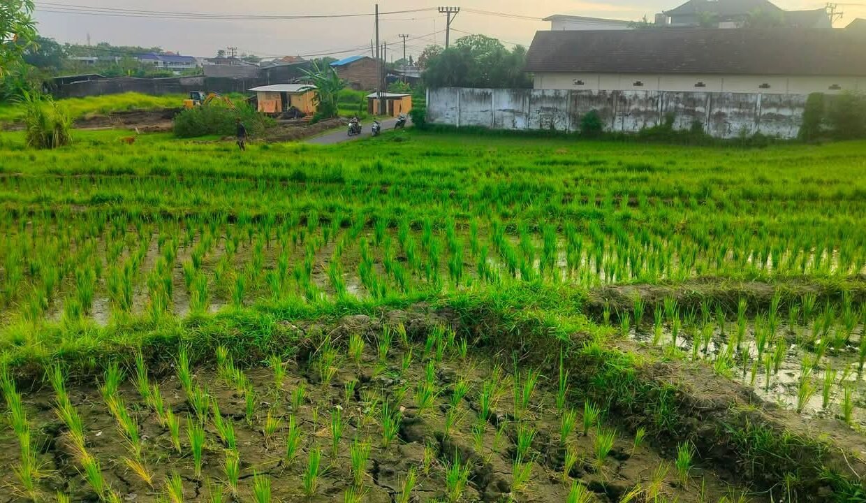 Tanah Kaba Kaba BB-0202 c