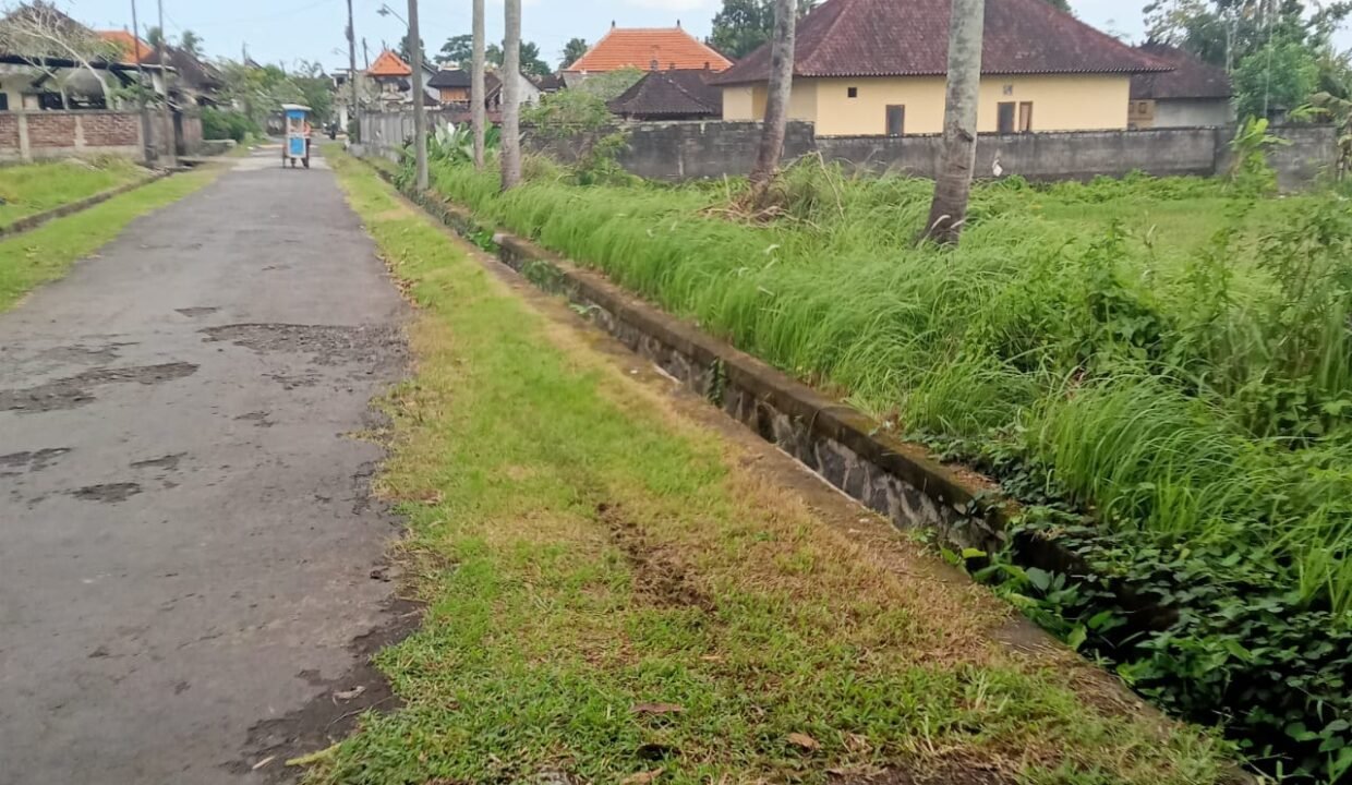 Tanah Kaba Kaba BB-0204 d