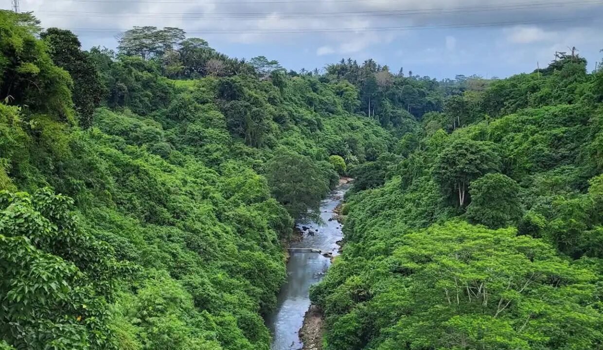 Tanah Tegallalang BB-0205 a