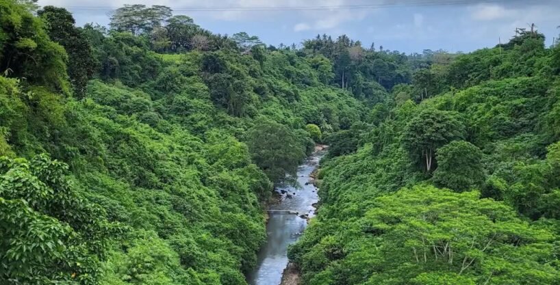 Tanah Tegallalang BB-0205