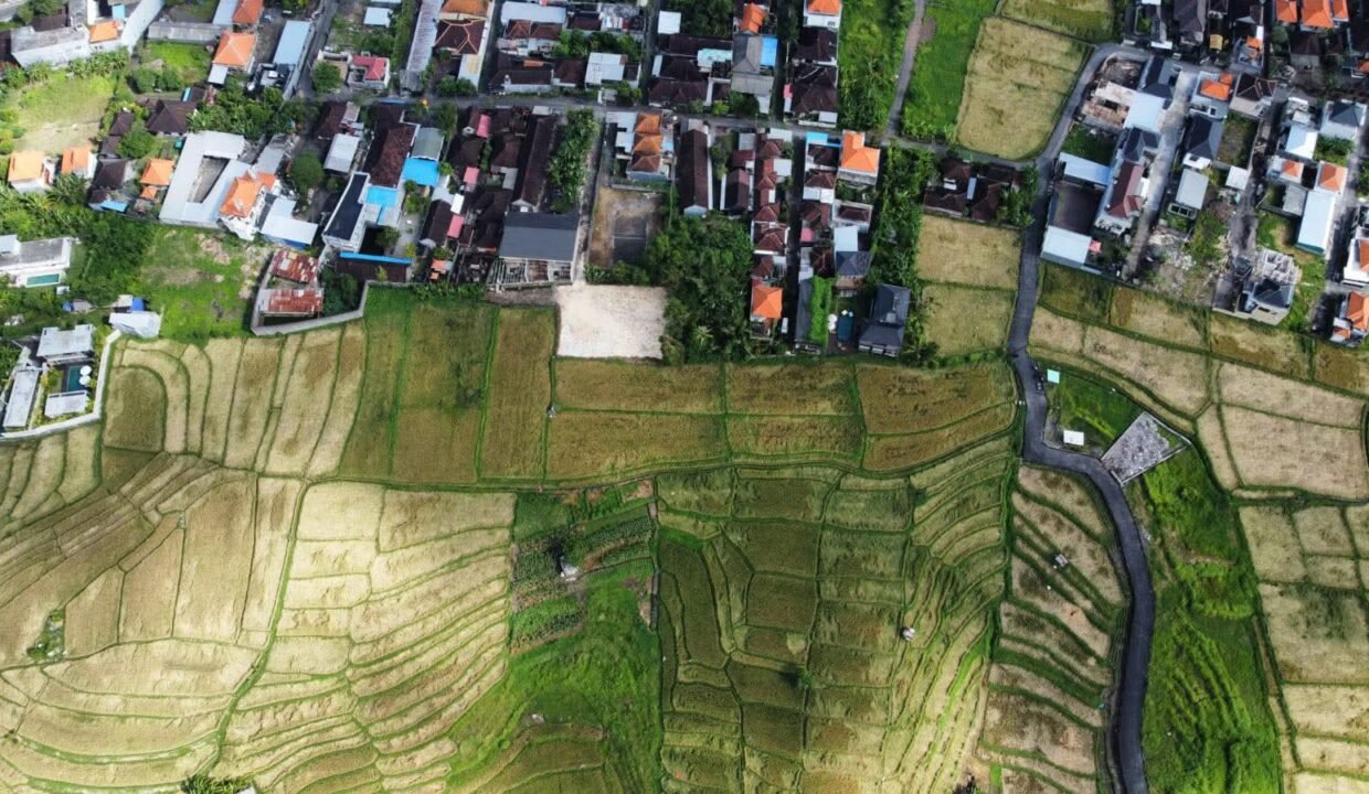 Tanah Buduk BB-0800 c