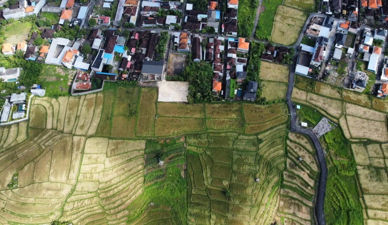 Tanah Buduk BB-0800 d