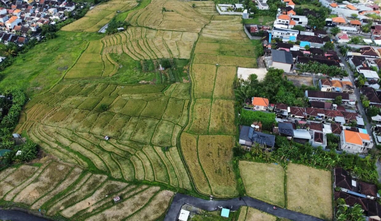 Tanah Buduk BB-0800 e