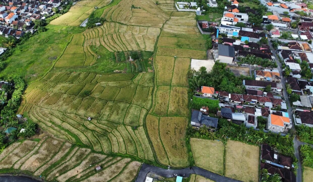 Tanah Buduk BB-0800 g