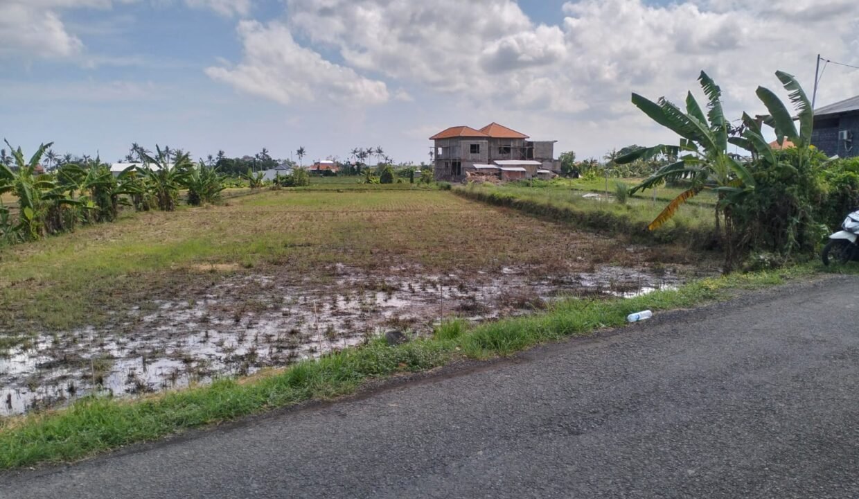 Tanah Canggu BB-0303 a