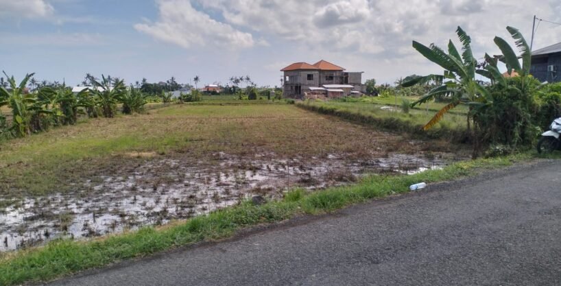 Tanah Canggu BB-0303