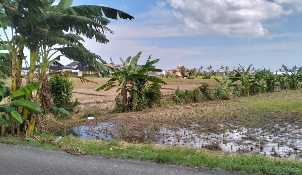 Tanah Canggu BB-0303 b