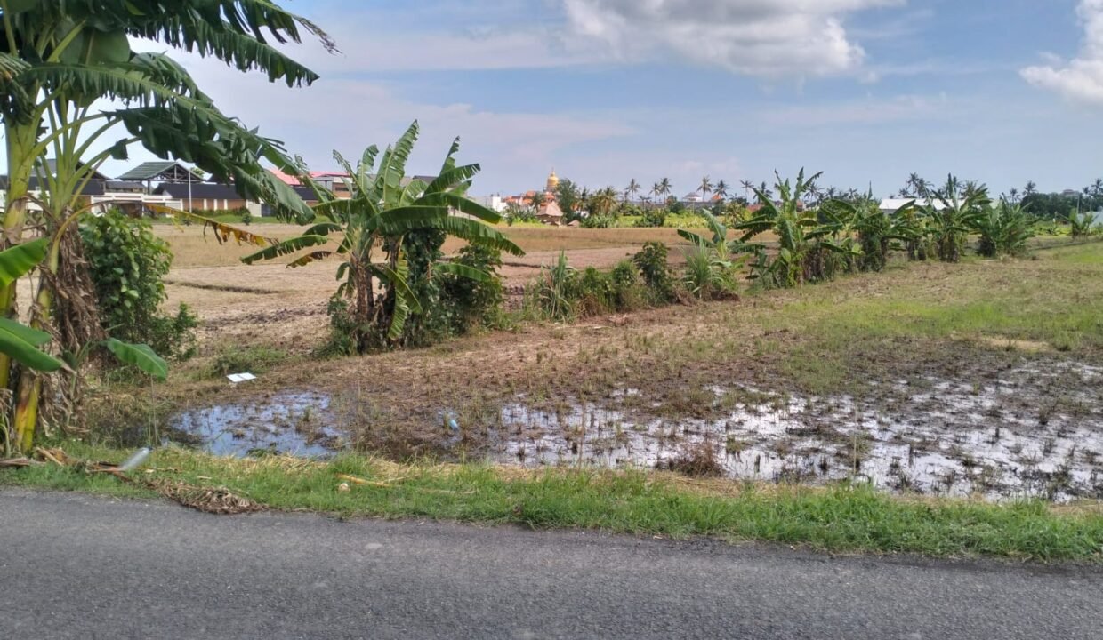 Tanah Canggu BB-0303 e
