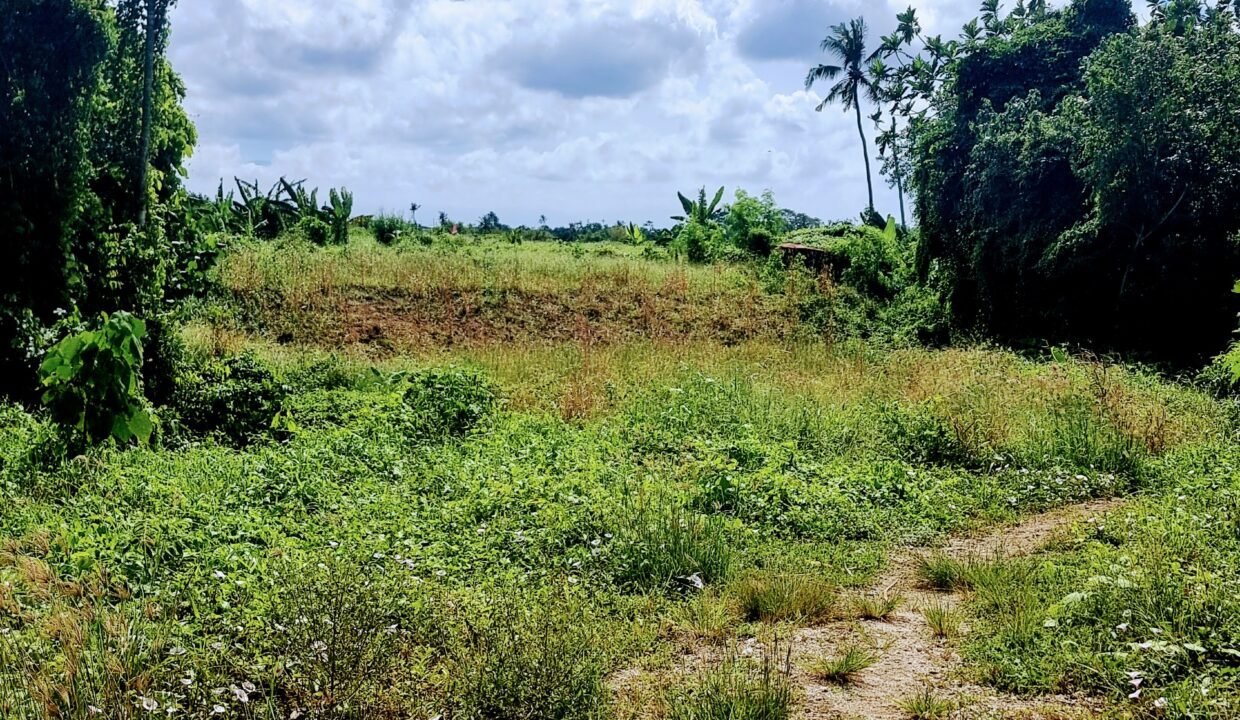 Tanah Cemagi BB-0301 a