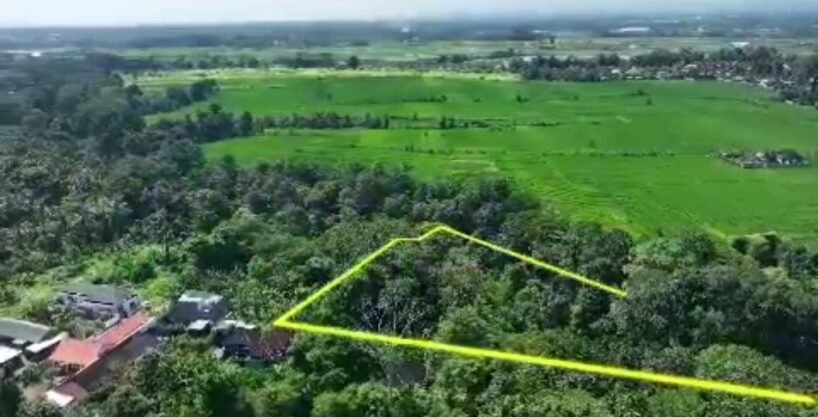 Tanah Cepaka BB-0401