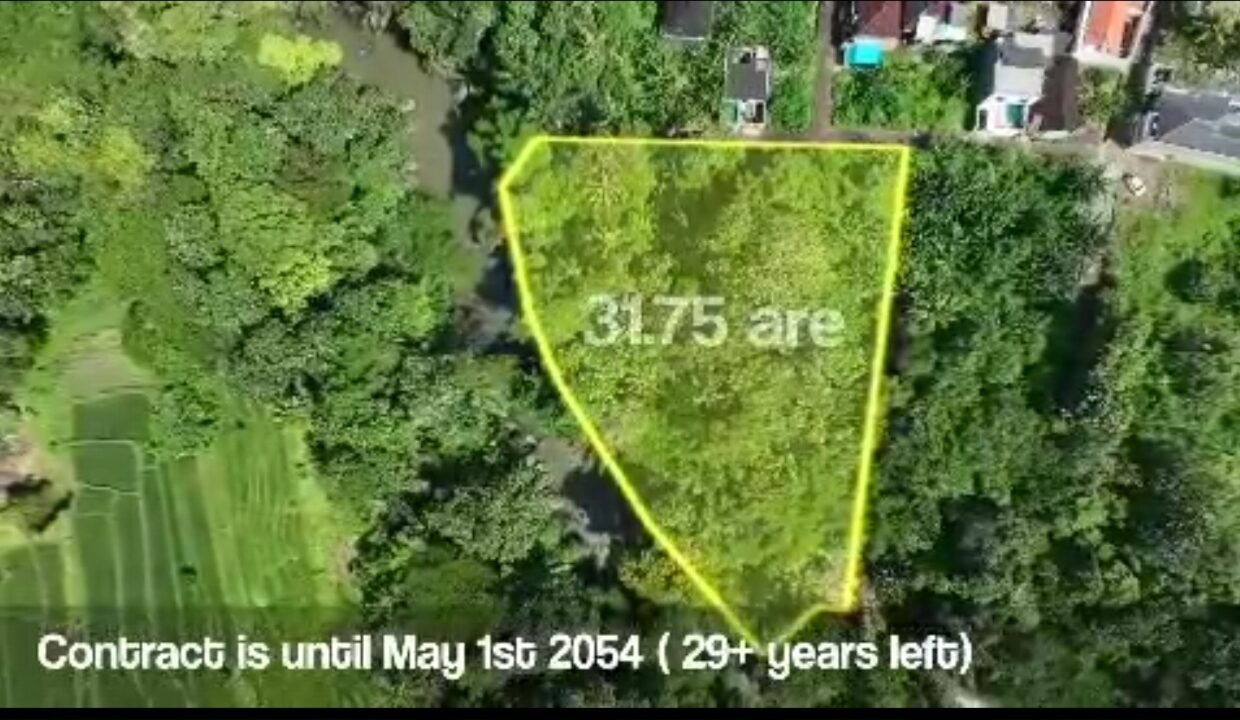 Tanah Cepaka BB-0401 c