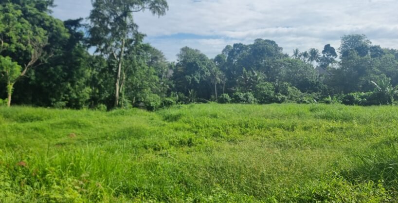 Tanah Cepaka BB-0801