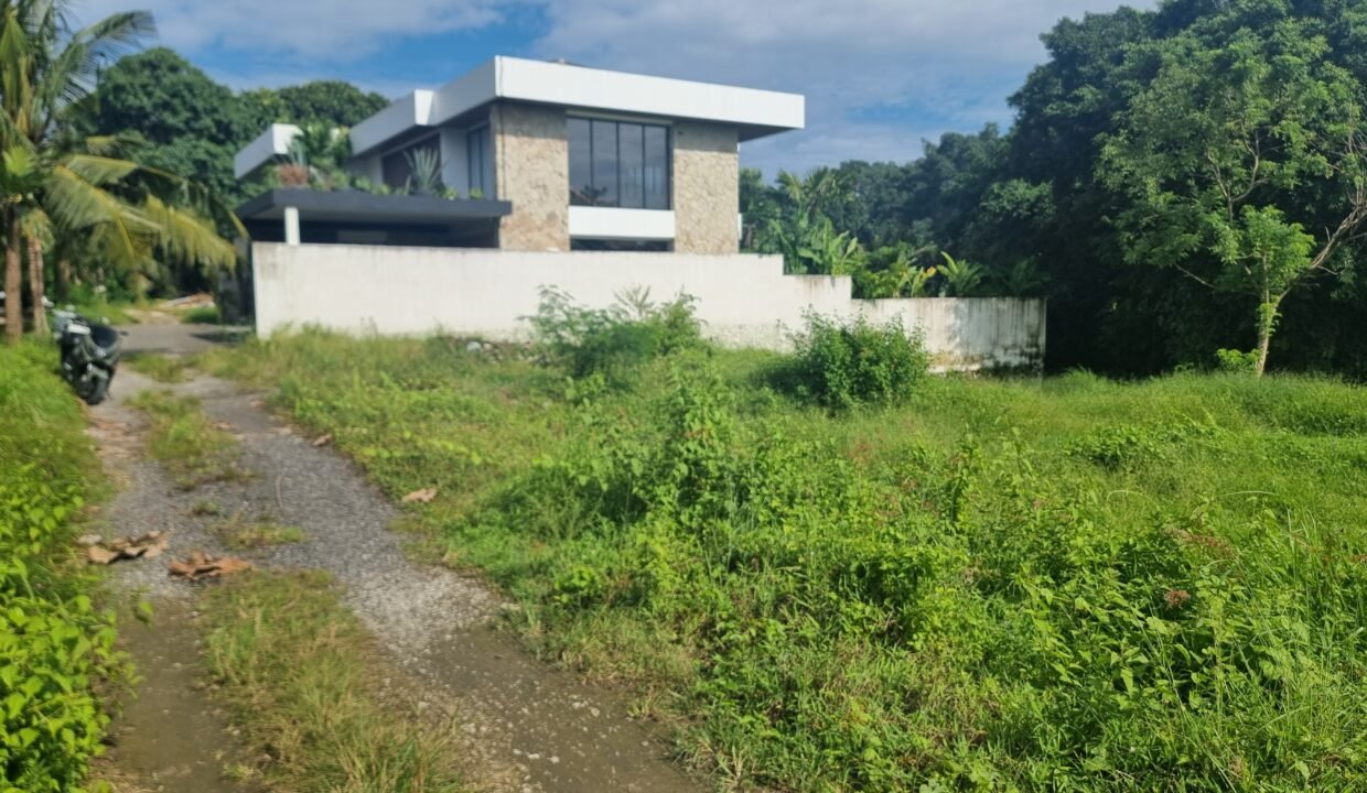 Tanah Cepaka BB-0801 b