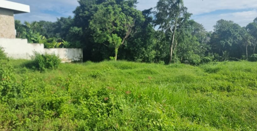 Tanah Cepaka BB-0801