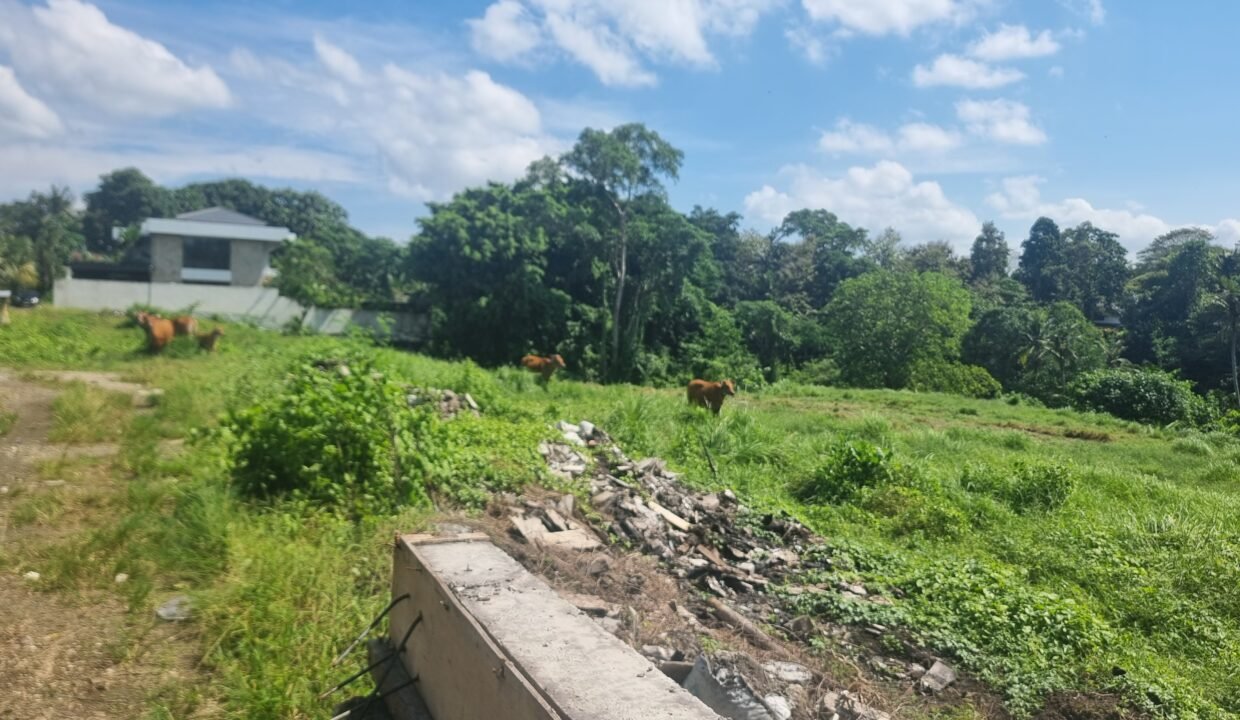 Tanah Cepaka BB-0801 e