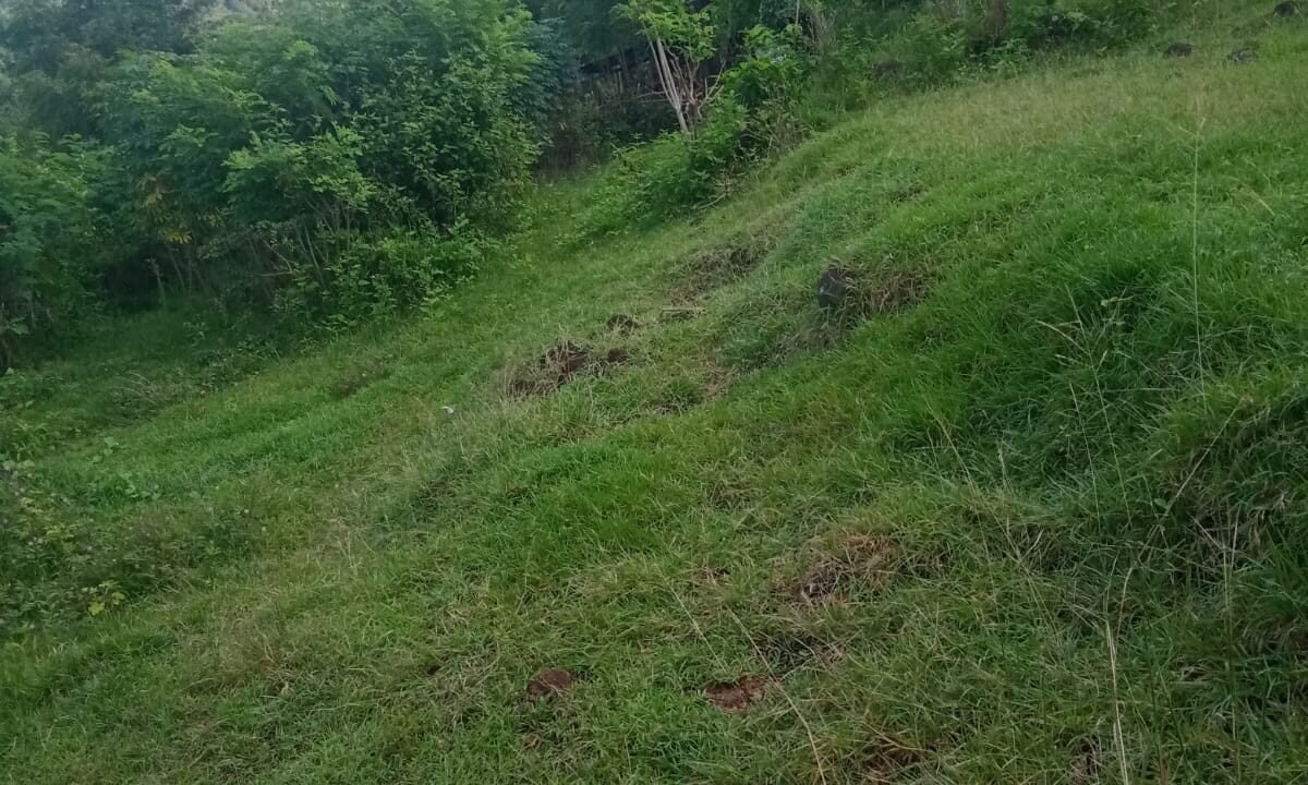 Tanah Karangasem BB-0902 a