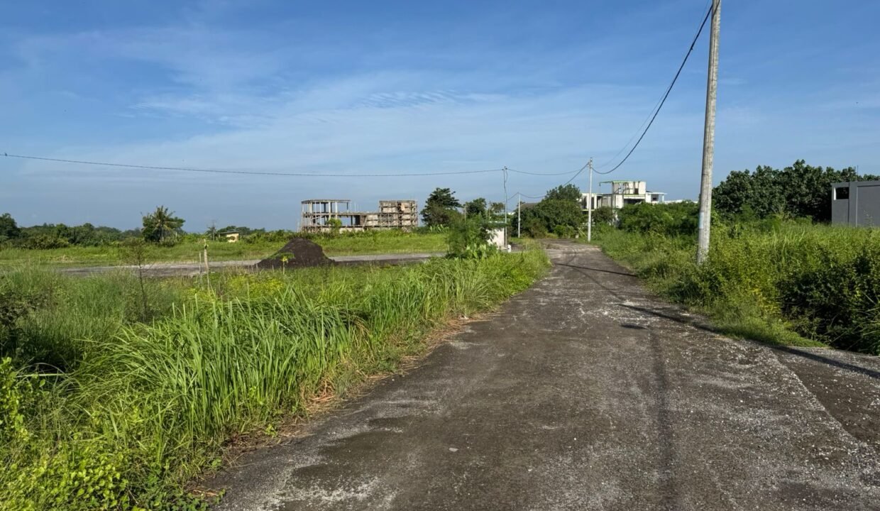 Tanah Kedungu BB-0806 c