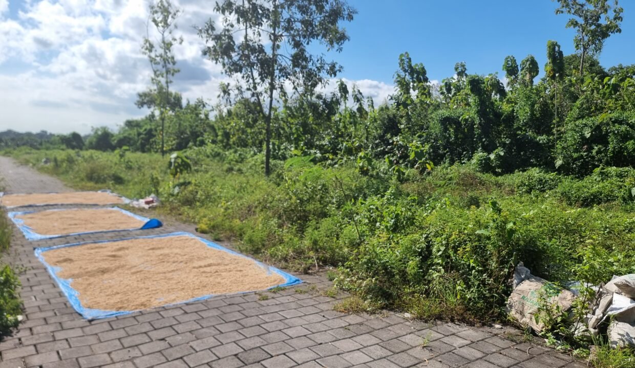 Tanah Munggu BB-0802 a