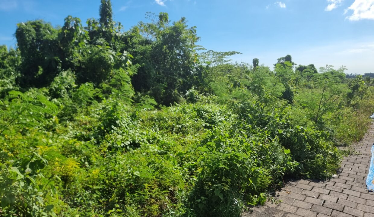 Tanah Munggu BB-0802 b