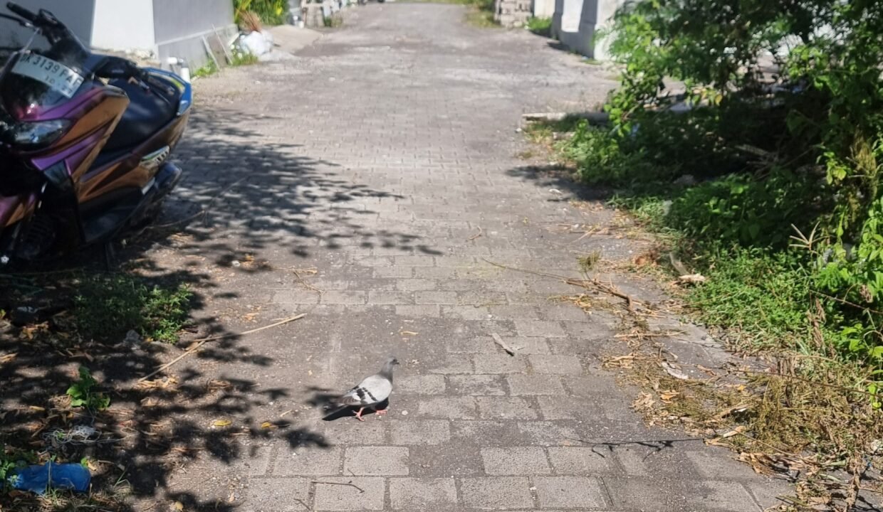 Tanah Munggu BB-0802 c