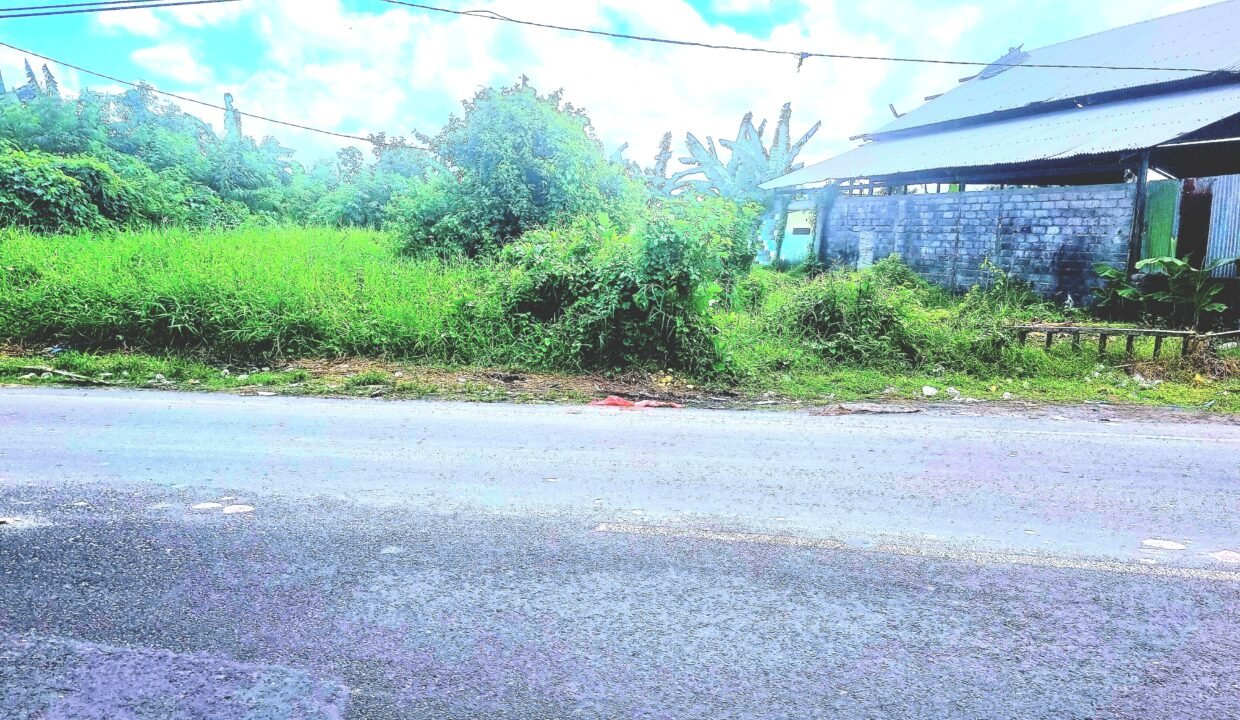 Tanah Munggu BB-0803 a