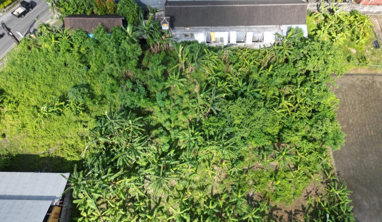 Tanah Munggu BB-0803 c