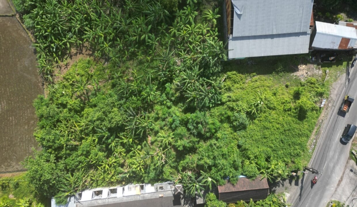 Tanah Munggu BB-0803 g