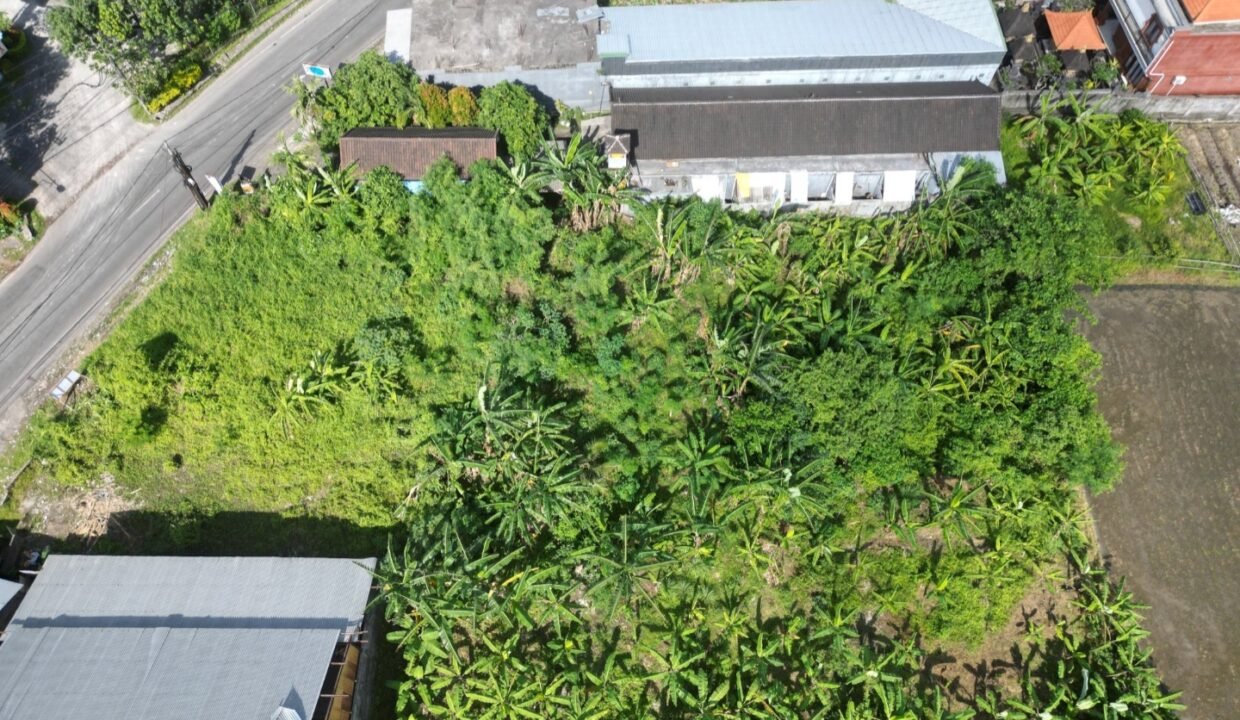 Tanah Munggu BB-0803 h