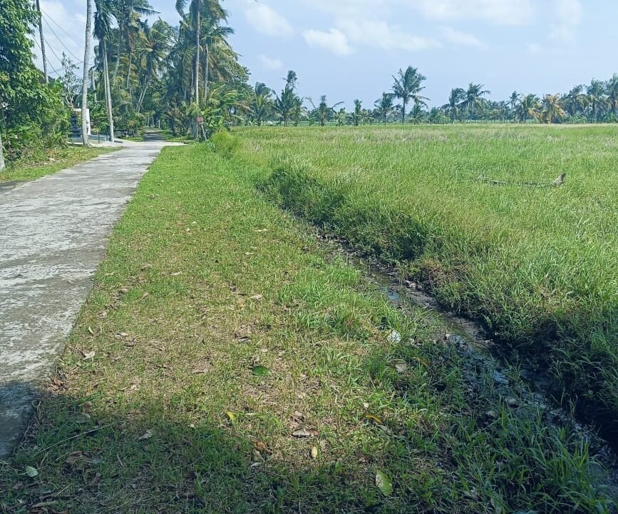 Tanah Nyambu BB-0807 c