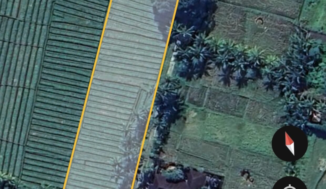 Tanah Nyambu BB-0807 d