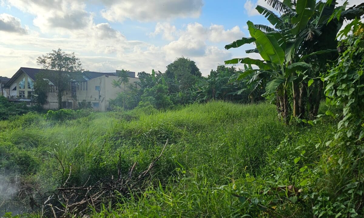 Tanah Padonan BB-0302 b