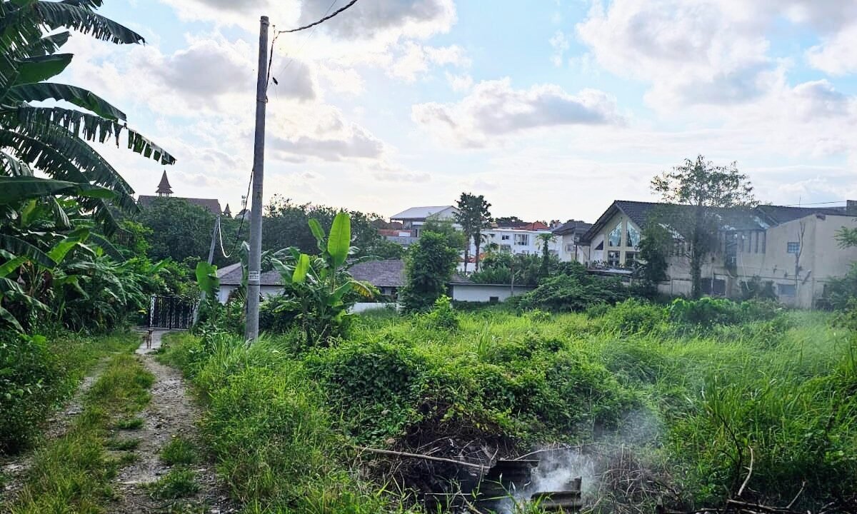 Tanah Padonan BB-0302 c