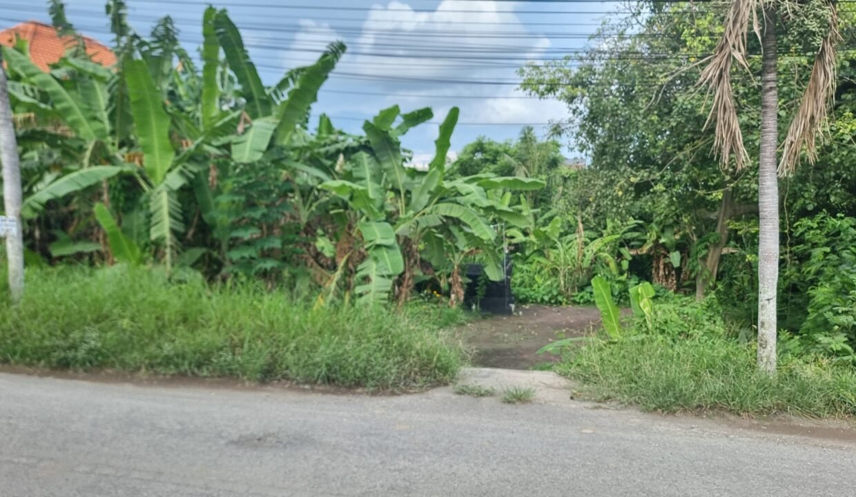 Tanah Seseh BB-0300 a