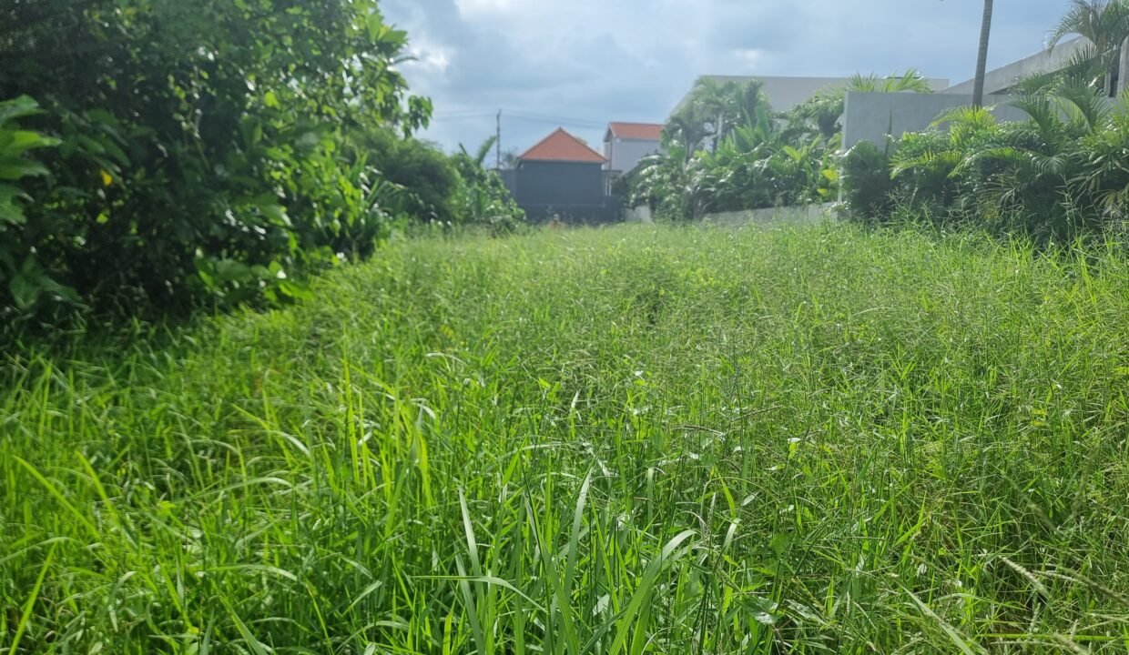 Tanah Seseh BB-0300 b