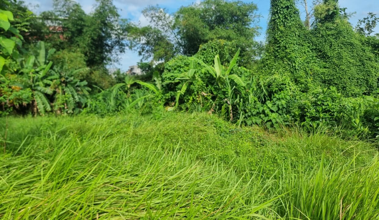 Tanah Seseh BB-0300 c