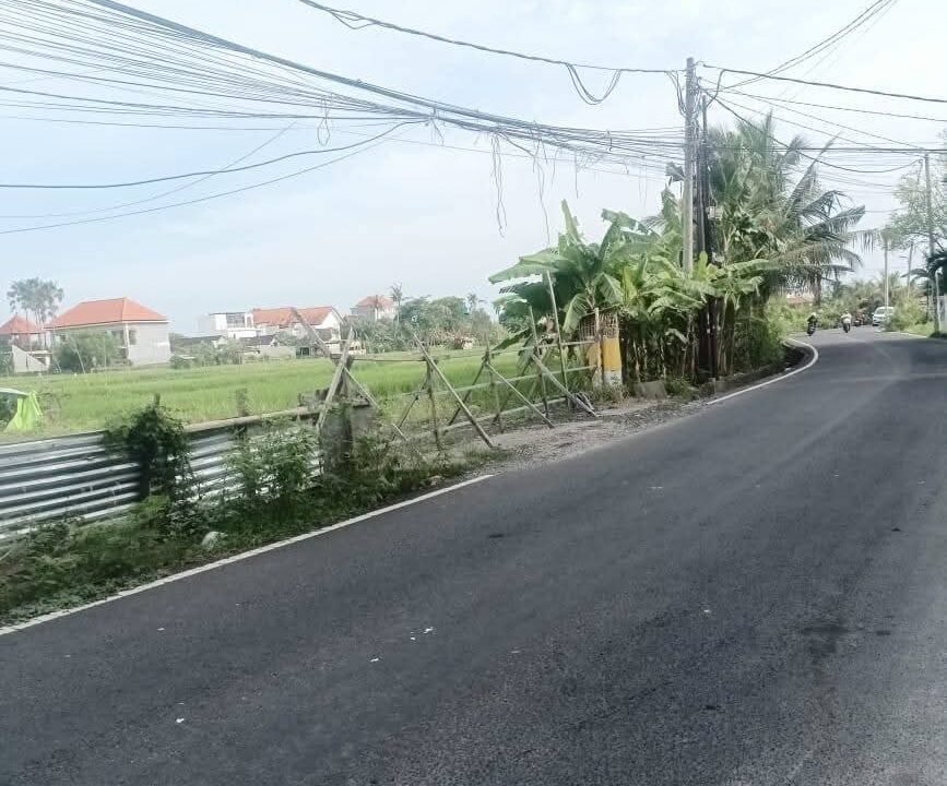 Tanah Berawa BB-0810 a