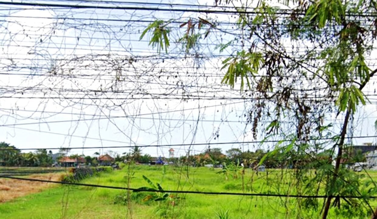 Tanah Berawa BB-0810 d