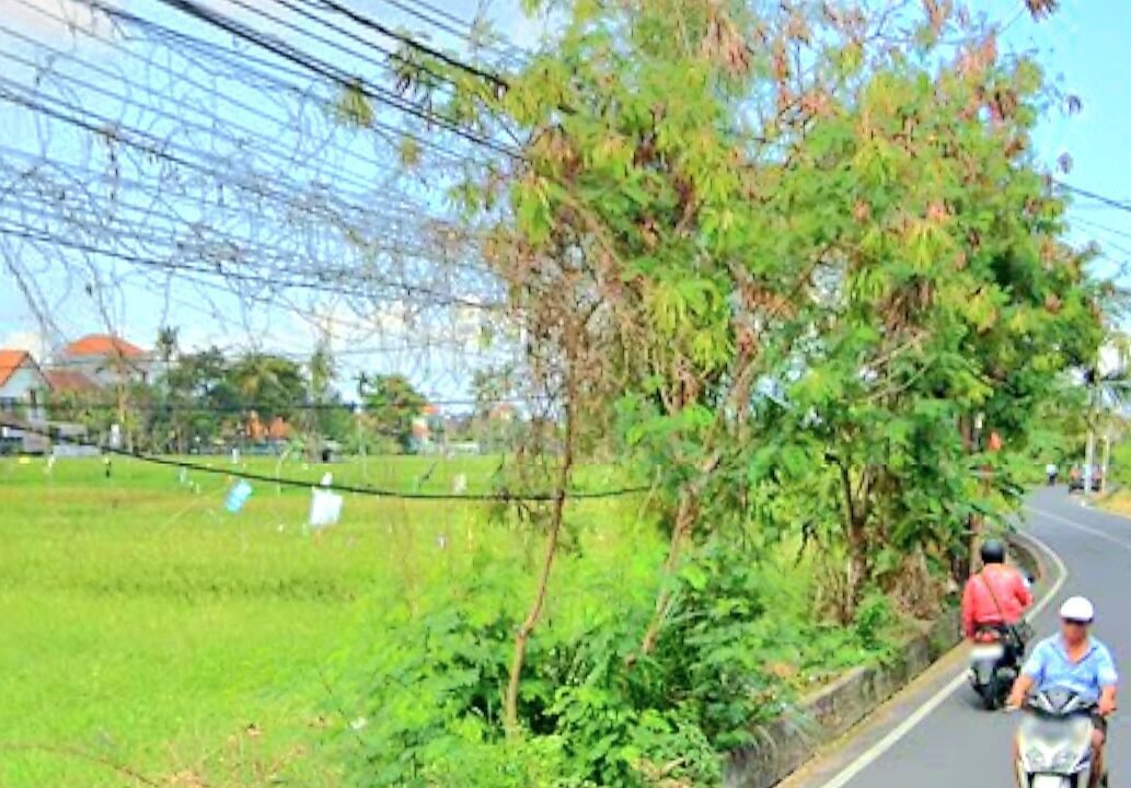 Tanah Berawa BB-0810 e