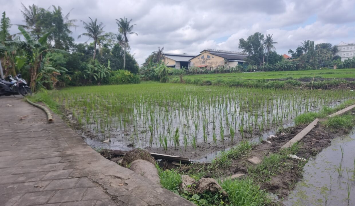 Tanah Munggu BB-0812 a