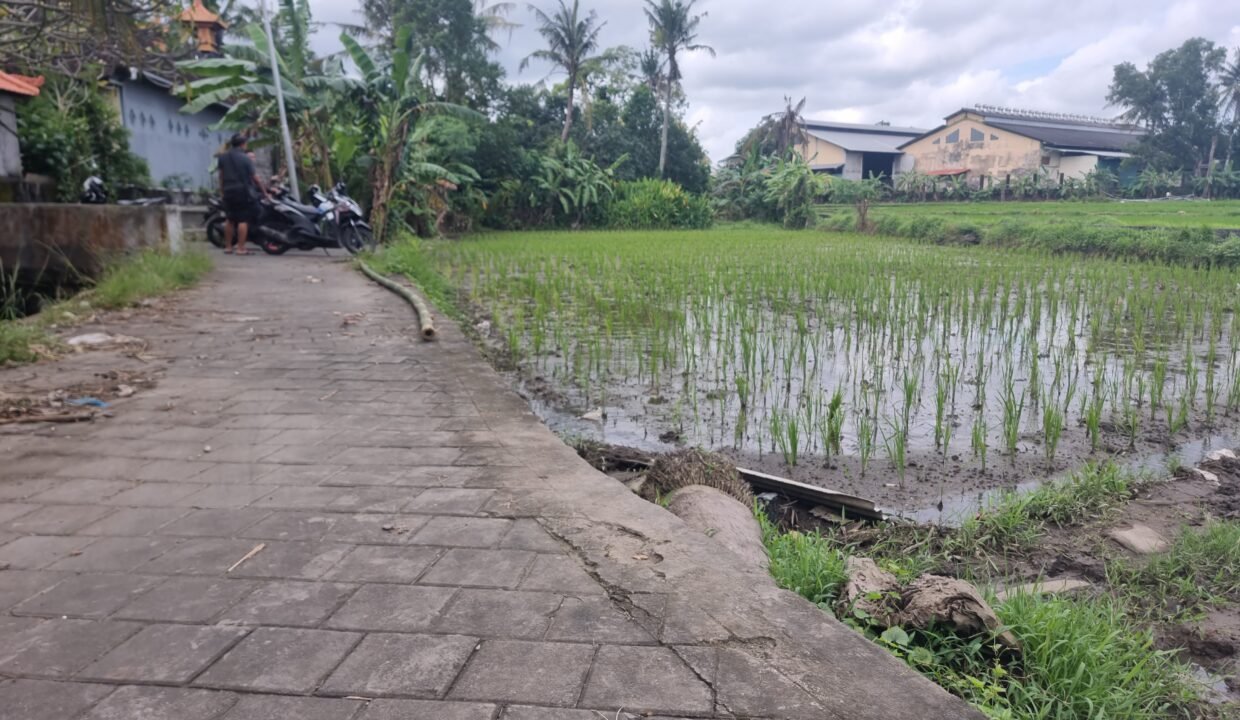 Tanah Munggu BB-0812 b