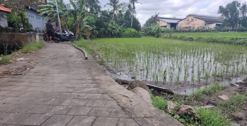 Tanah Munggu BB-0812