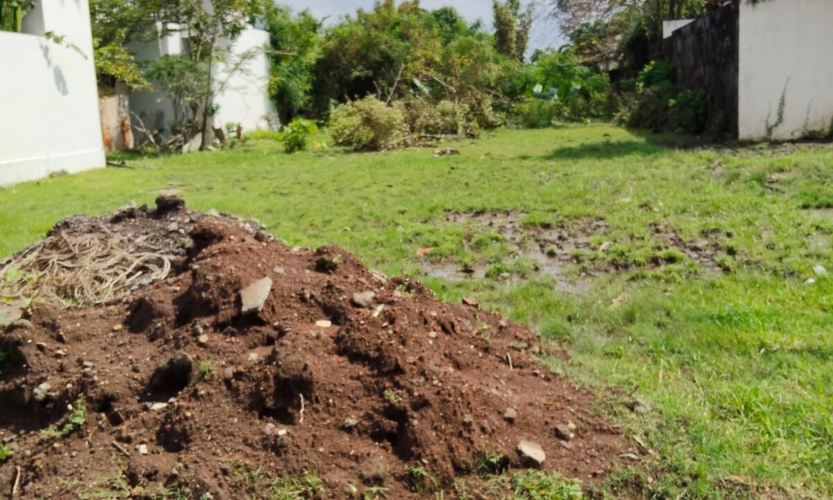 Tanah Munggu BB-0813 c