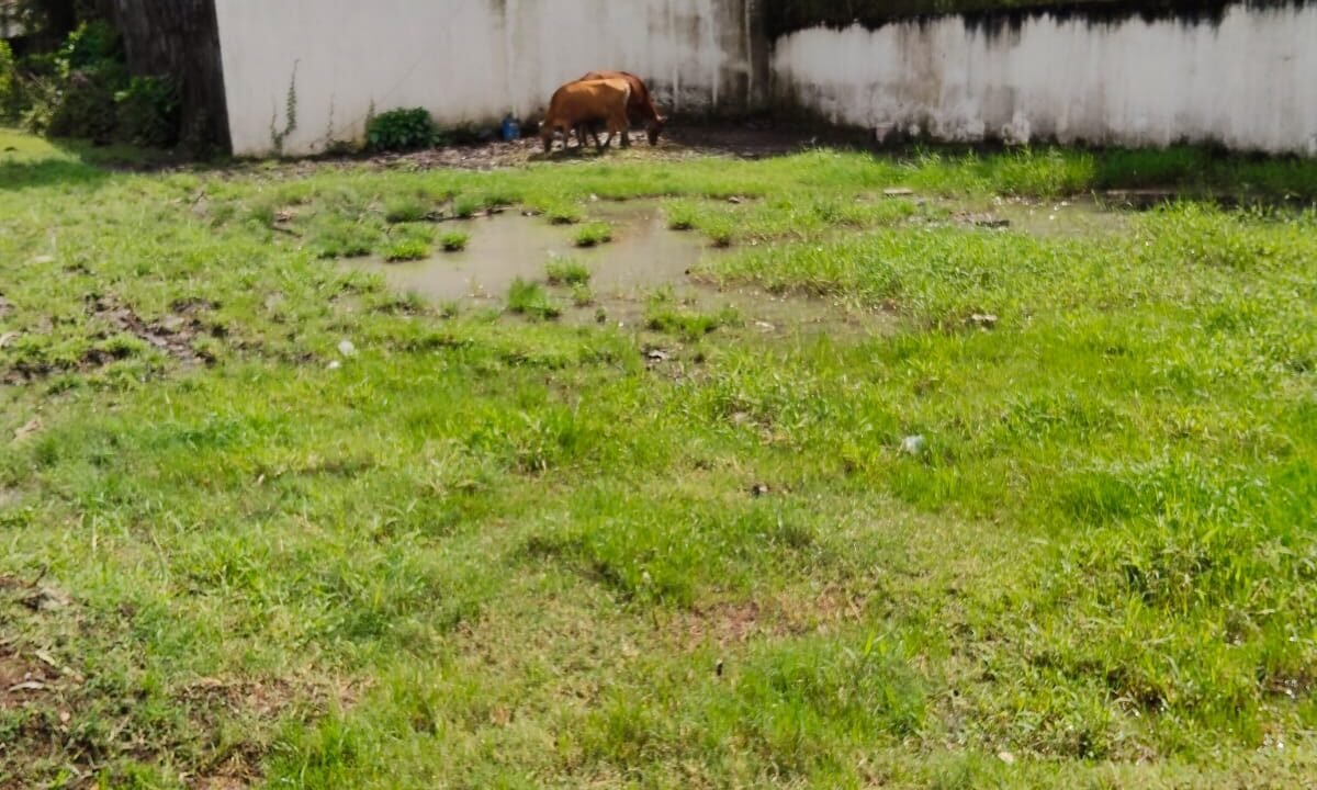 Tanah Munggu BB-0813 d